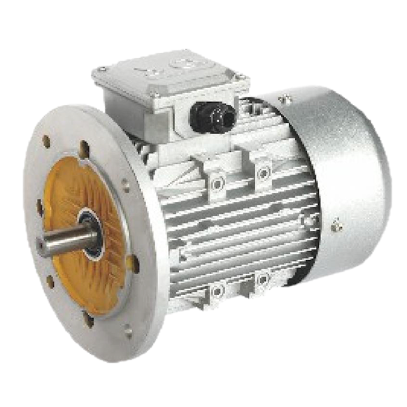 Asynchronous Motor Asynchronous Motor Product Families