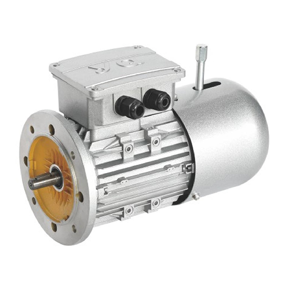 Three Phase Asynchronous Motor
